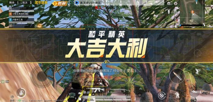和平精英新赛季辅助技能怎么用（和平精英新模式技能怎么用）